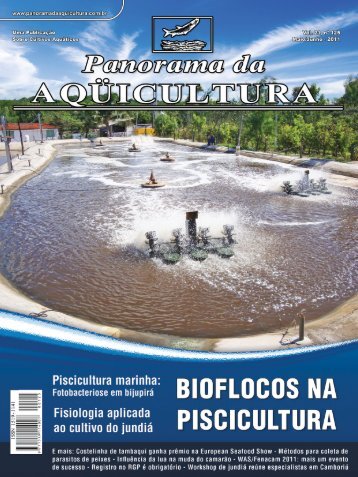 Baixar PDF - Acqua & Imagem