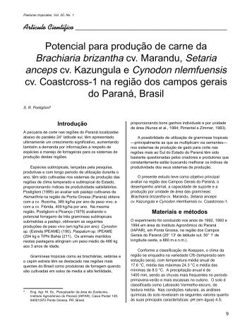 Potencial para produção de carne da Brachiaria brizantha cv ...