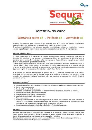 Ficha Técnica (download ficheiro PDF) - SipCam