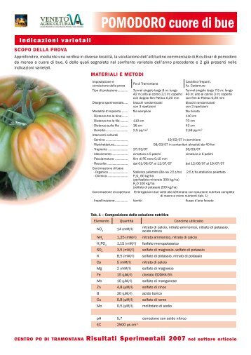 POMODORO cuore di bue - Veneto Agricoltura