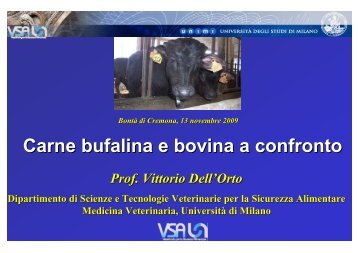 Carne bufalina e bovina a confronto - Formaggidicapradifattoria.it