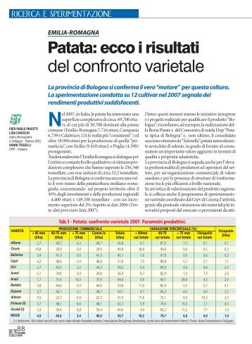 Patata: ecco i risultati del confronto varietale - Ermes Agricoltura