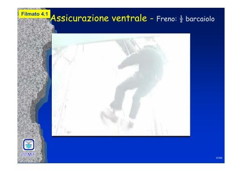 Tecniche di Assicurazione: confronto tra “classica” e “ventrale”