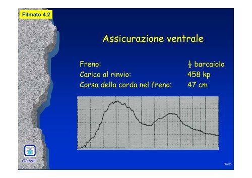 Tecniche di Assicurazione: confronto tra “classica” e “ventrale”