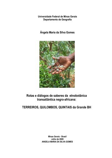 terreiros, quilombos, quintais da Grande BH - Biblioteca Digital de ...