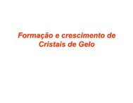 Capitulo 6 - Formação e crescimento de Cristais de Gelo - storm-t