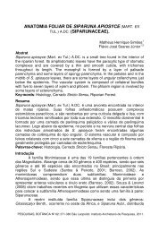 anatomia foliar de siparuna apiosyce - Instituto Anchietano de ...