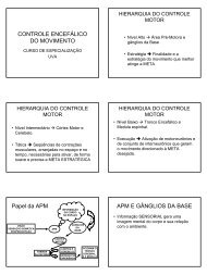 CONTROLE ENCEFÁLICO DO MOVIMENTO Papel da APM APM E ...