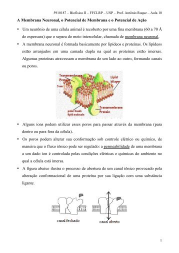 A Membrana Neuronal, o Potencial de Membrana e o ... - SisNe