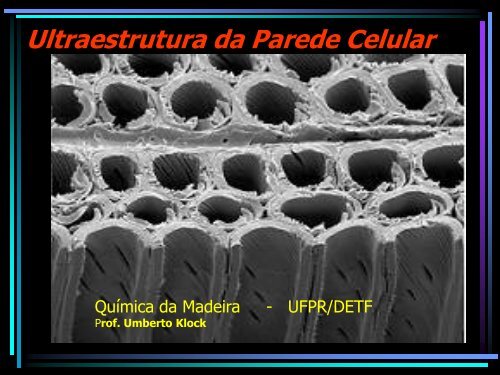 Ultraestrutura da parede Celular