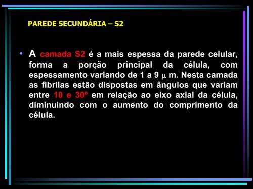 Ultraestrutura da parede Celular