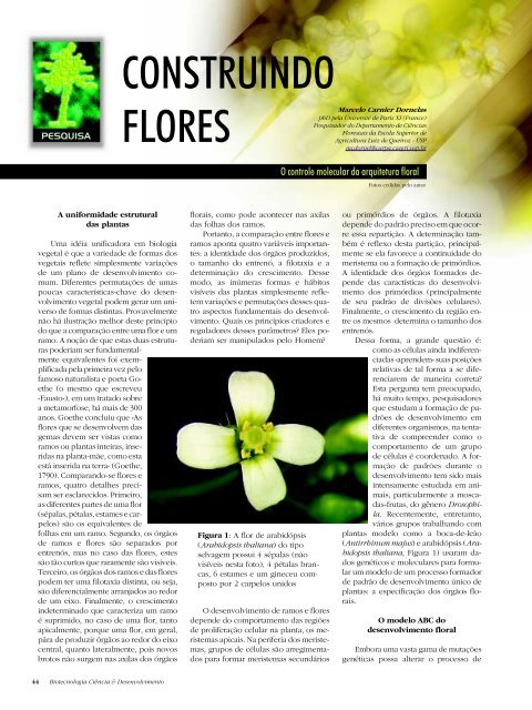 CONSTRUINDO FLORES - Biotecnologia