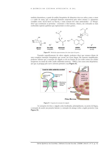 'Química na Cozinha' apresenta: O Sal