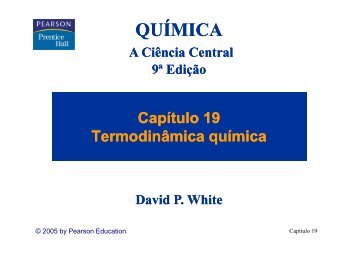 Termodinâmica química