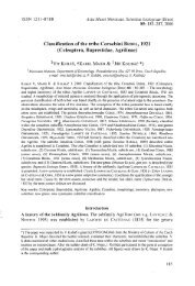 Classification of the tribe Coraebini BEDEL, 1921 (Coleoptera ...