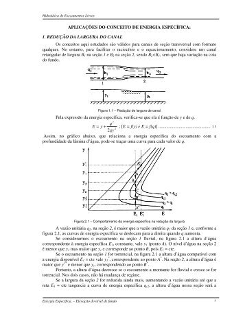 Energia Especifica Aula2.pdf - FCTH