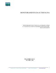 Relatório Monitoramento UHE Emborcação 2006 - Cemig