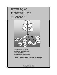 nutrição mineral de plantas - DBI - UEM