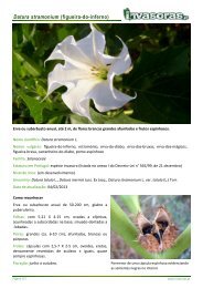 Datura stramonium (figueira-do-inferno) - Plantas invasoras em ...