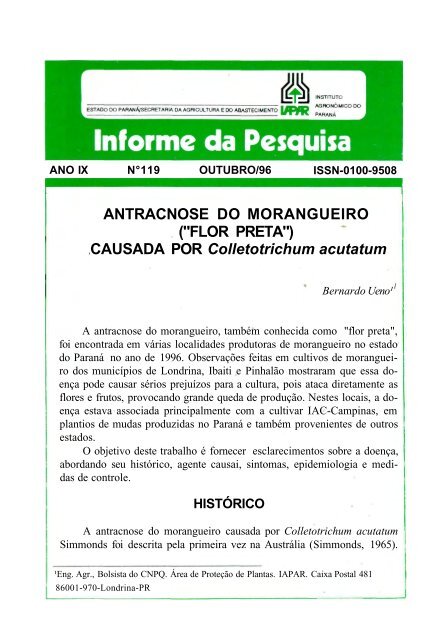 ANTRACNOSE DO MORANGUEIRO ("FLOR PRETA ... - Iapar