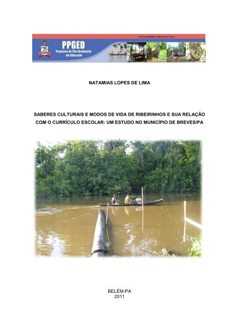 Entenda por que o pirarucu, peixe nativo da Amazônia, é um perigo para os  rios de SP, Rondônia Rural