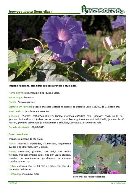 Ipomoea indica (bons-dias) - Plantas invasoras em Portugal ...