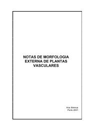 NOTAS DE MORFOLOGIA EXTERNA DE PLANTAS VASCULARES