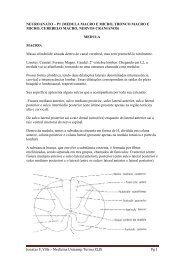 Resumo de Anatomia da Medula Espinhal, Tronco Encefalico e ...