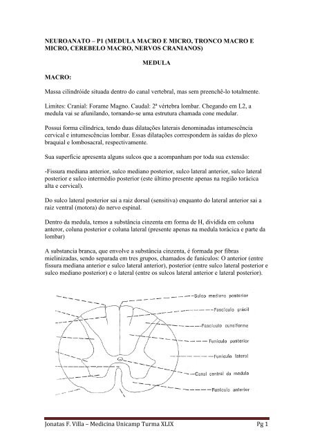 Resumo de Anatomia da Medula Espinhal, Tronco Encefalico e ...