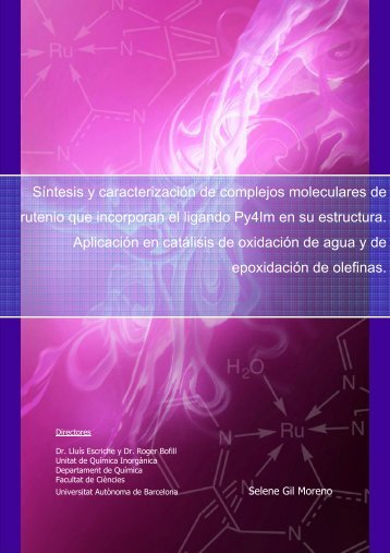 Síntesis y caracterización de complejos moleculares de ... - Recercat