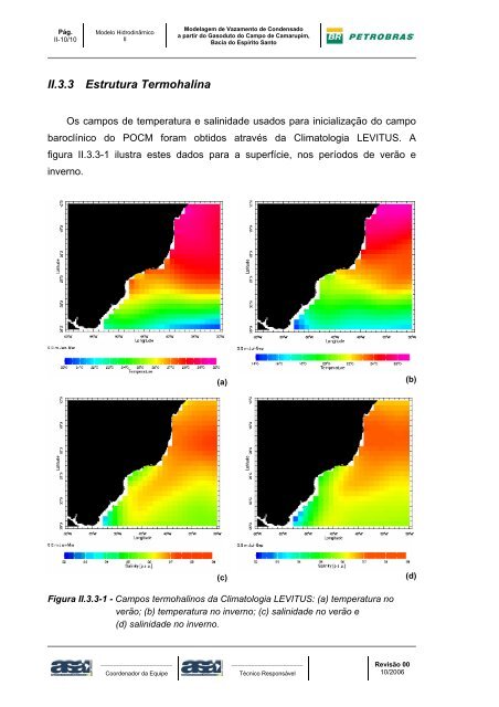 Modelagem de Vazamento de Condensado a partir do Gasoduto do ...