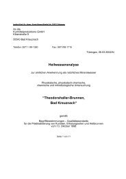 Heilwasseranalyse âTheodorshaller-Brunnen, Bad Kreuznachâ