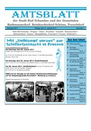 Ausgabe 02. KW 2011 - Bad Schandau