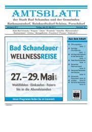 Ausgabe 20. KW 2011 - Bad Schandau