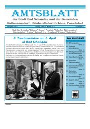 Ausgabe 12. KW 2011 - Bad Schandau
