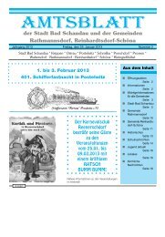 Ausgabe 4. KW 2013 - Bad Schandau