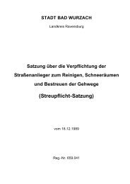 Streupflicht-Satzung - Bad Wurzach