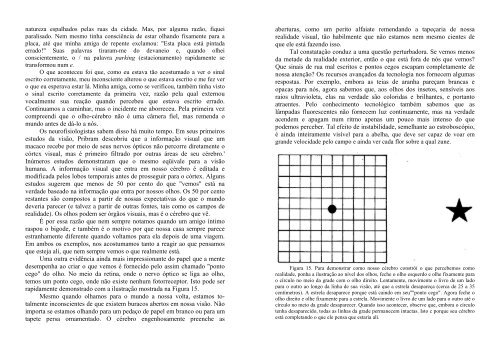 O - Universo Holográfico