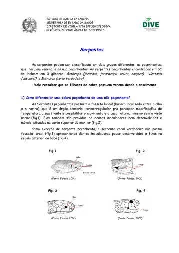 serpentes para a população - Diretoria de Vigilância Epidemiológica