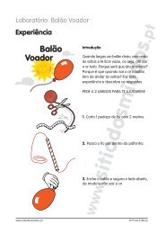 Balão Voador.pdf