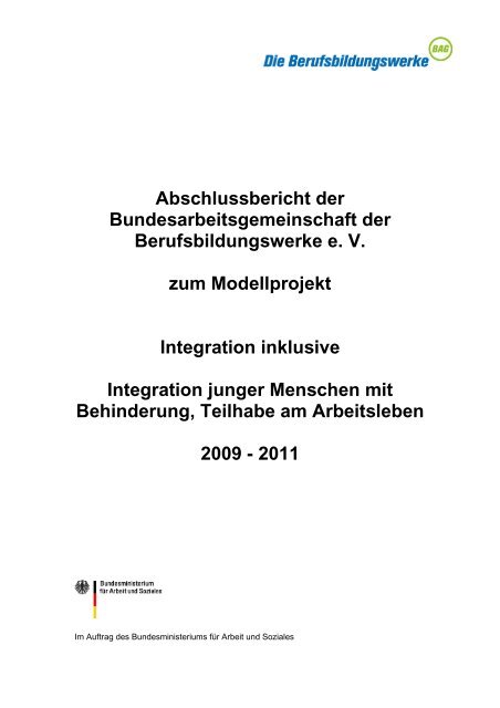 Abschlussbericht der Bundesarbeitsgemeinschaft der ...