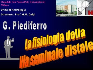 Fisiologia della via seminale distale