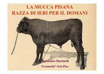 Alessandra Martinelli (Leonardo-IRTA, Pisa): La ... - Enrico Avanzi