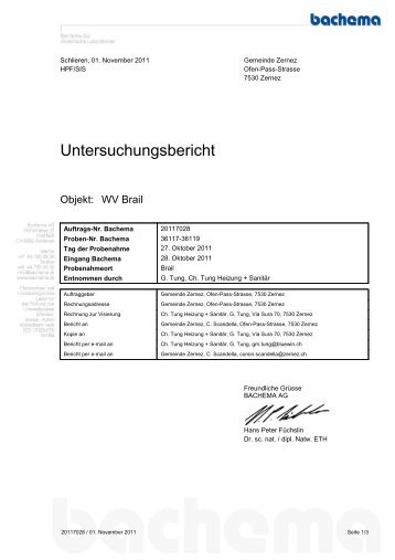 Untersuchungsbericht - Zernez