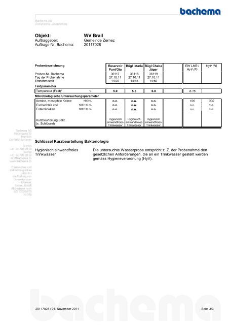 Untersuchungsbericht - Zernez