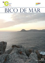 Bico de Mar