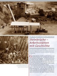 Steinbrüche - Arbeitsstätten mit Geschichte (PDF)