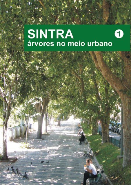 Sintra - Árvores No Meio Urbano I