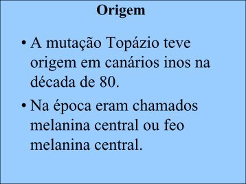 Canários Topazios - Clube Sano