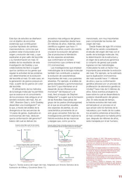 El origen y la diversidad del maíz en el continente americano